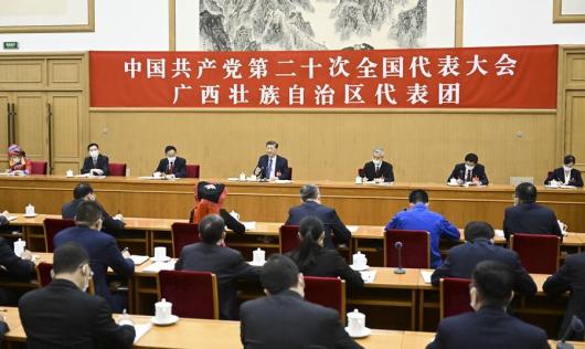 習近平參加黨的二十大廣西代...